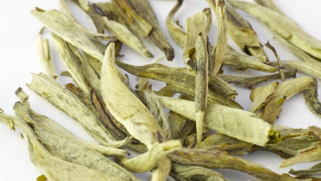 Bai Hao Yinzhen