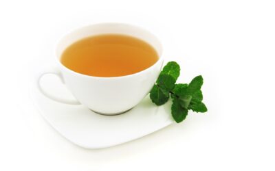 Pai Mu Tan : Un ancien thé blanc chinois