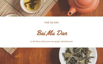 Bai Mu Dan : Le thé blanc chinois pour une gorgée rafraîchissante