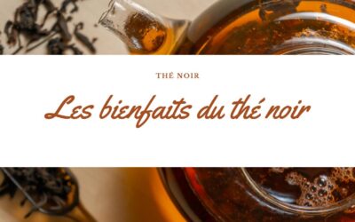 Quels les bienfaits du thé noir ?