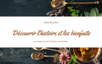 Découvrir l’histoire et les bienfaits des thés blancs