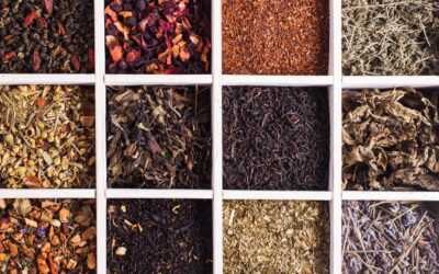 Les bienfaits surprenants du thé noir pour la santé : mythes et réalités avec Lipton