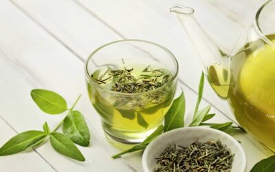 Les meilleures marques de thé vert biologique : mon avis sur les produits de Destination Bio