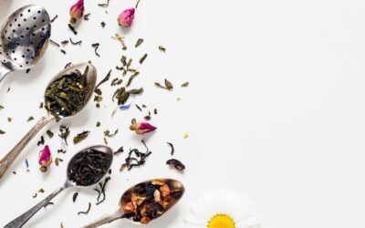 Les différentes saveurs du thé vert : explorez la palette aromatique chez Palais des Thés
