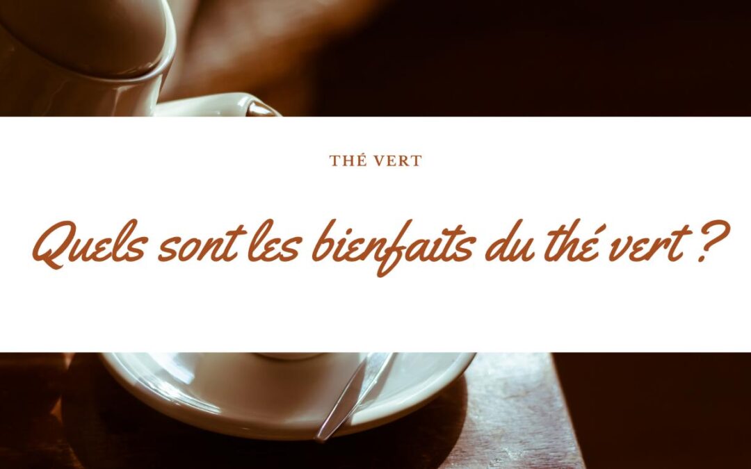 Les bienfaits du thé vert : Un regard approfondi sur les bienfaits du thé vert pour la santé