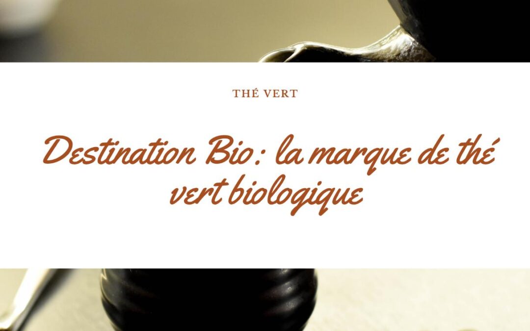 Les meilleures marques de thé vert biologique : mon avis sur les produits de Destination Bio