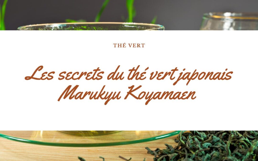 Les secrets du thé vert japonais : découvrez la richesse du matcha avec la marque Marukyu Koyamaen