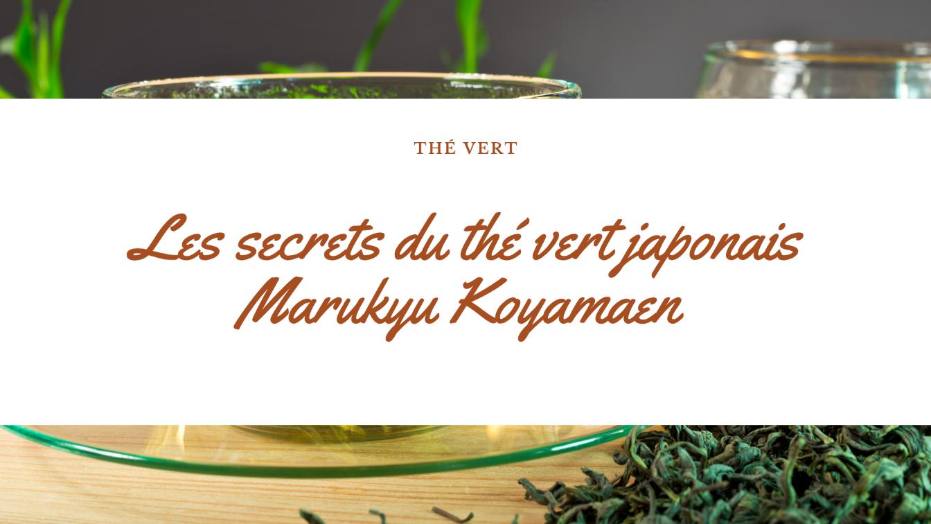 marukyu koyamaen
