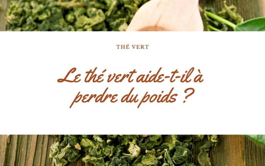 Les bienfaits du thé vert pour la perte de poids : mythe ou réalité ? Études et recommandations avec La Tisanière