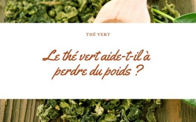 Les bienfaits du thé vert pour la perte de poids : mythe ou réalité ? Études et recommandations avec La Tisanière