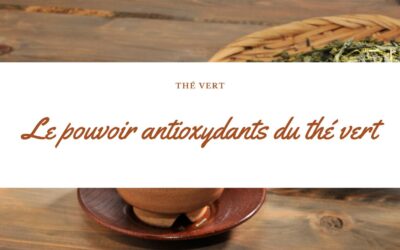 Exploiter le pouvoir des antioxydants : Découvrez les bienfaits nutritionnels du thé vert
