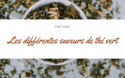 Les différentes saveurs du thé vert : explorez la palette aromatique chez Palais des Thés