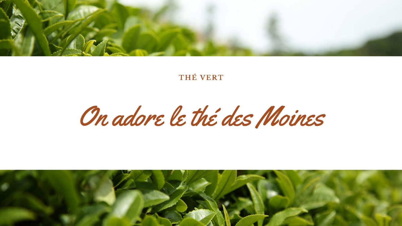 the vert des moines