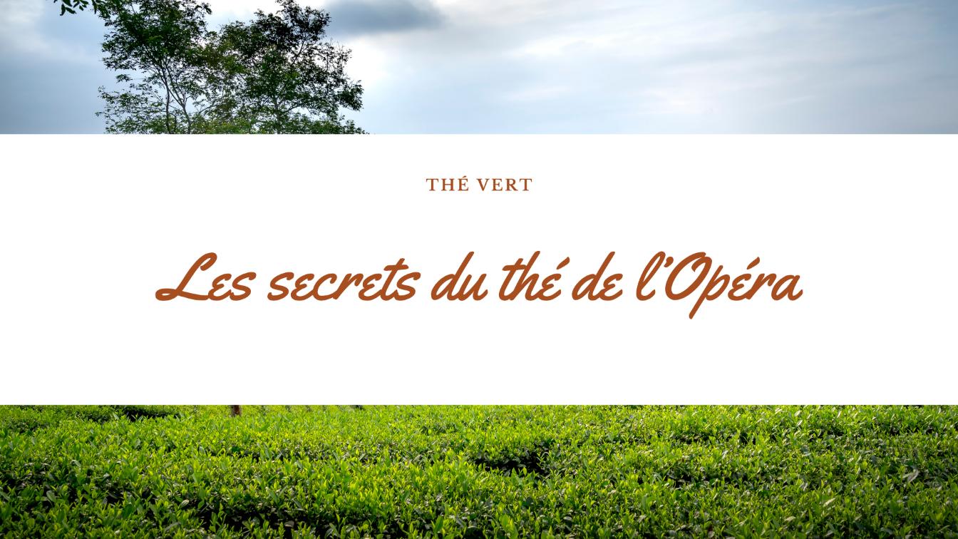 the vert opera