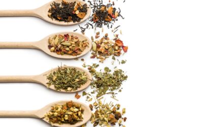 Tisane après le dîner : les bienfaits cachés de ce rituel ancestral