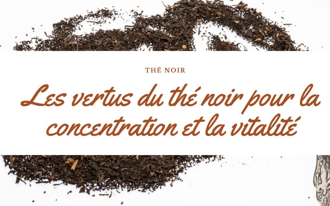 Les vertus du thé noir pour la concentration et la vitalité : conseils de consommation avec PG Tips