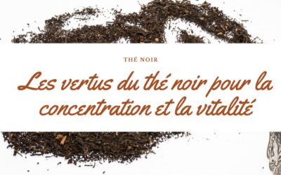 Les vertus du thé noir pour la concentration et la vitalité : conseils de consommation avec PG Tips