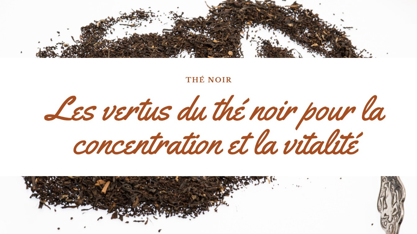 the noir concentration vitalite