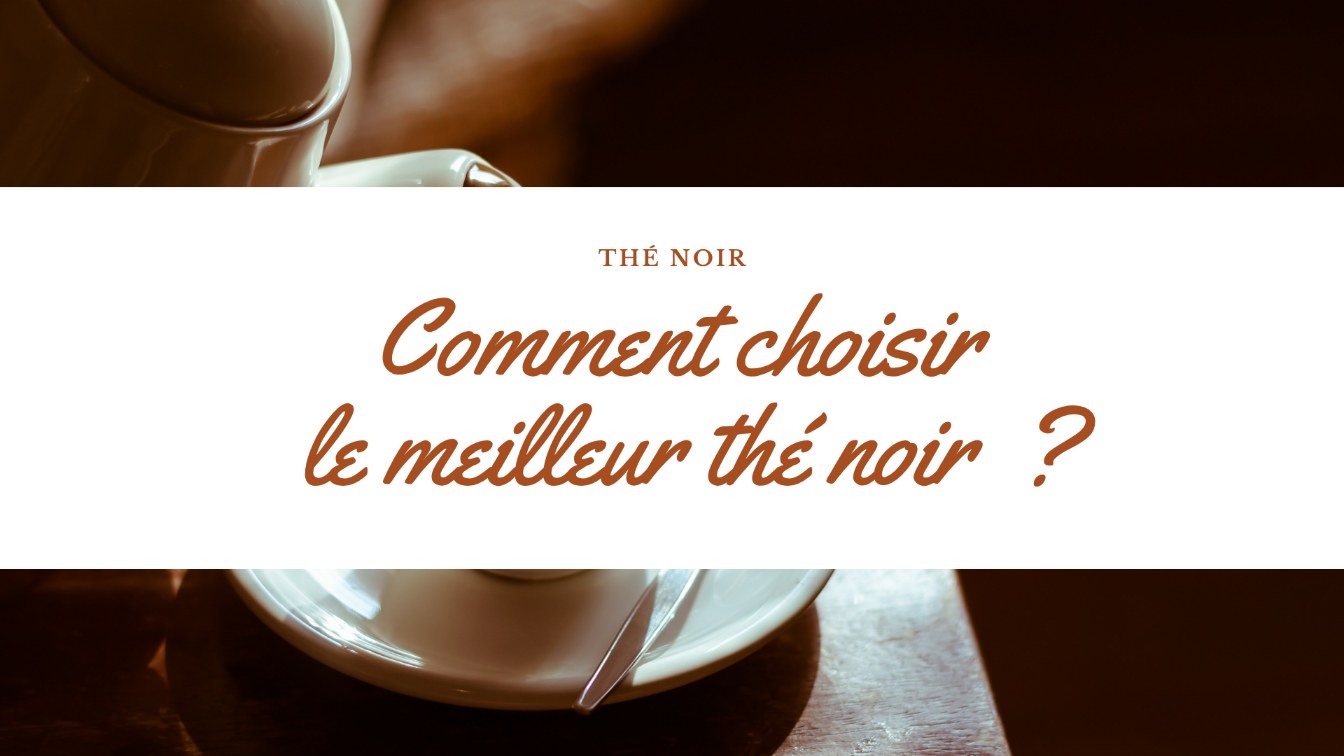 choisir meilleur the noir