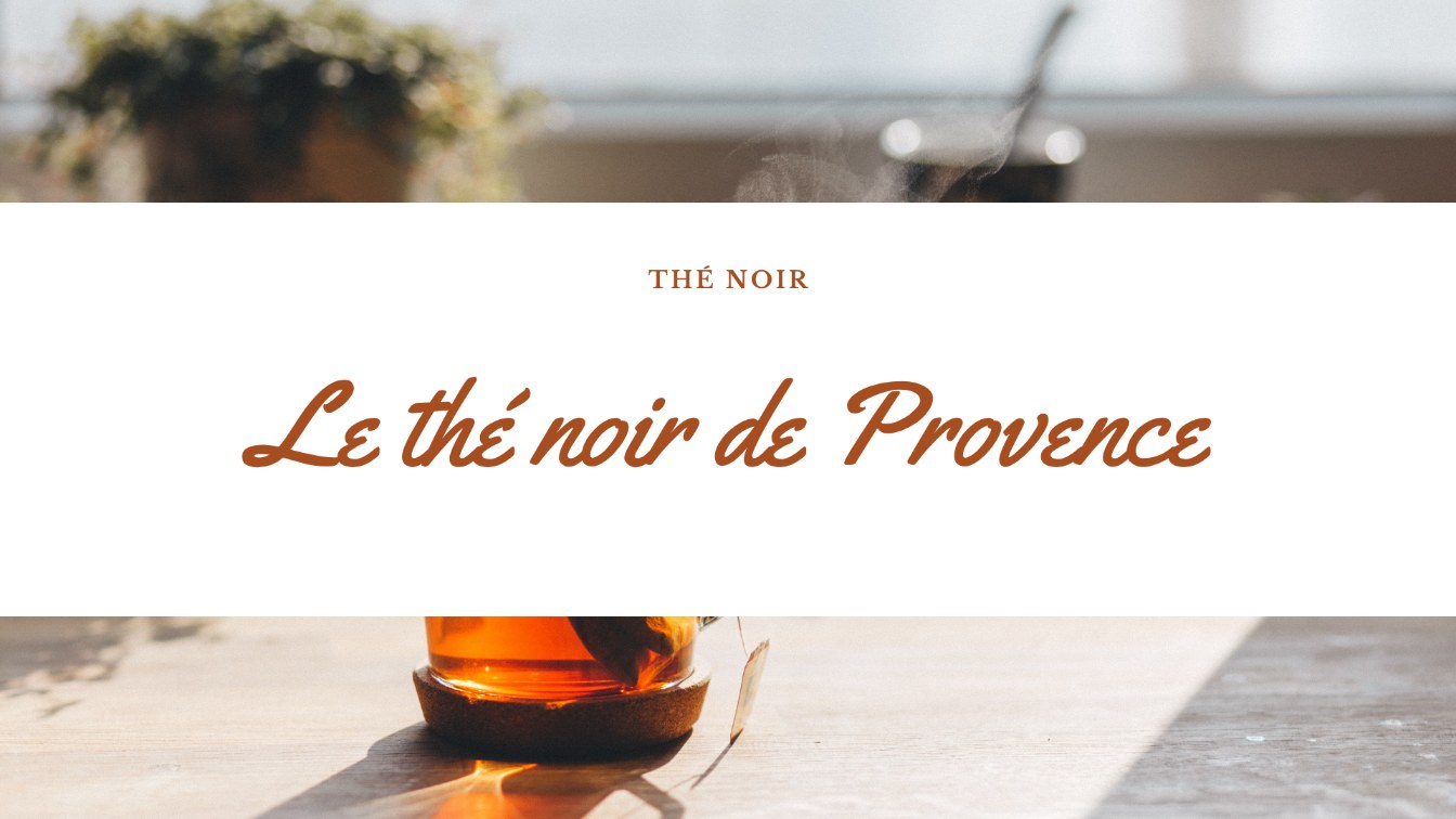 the noir provence