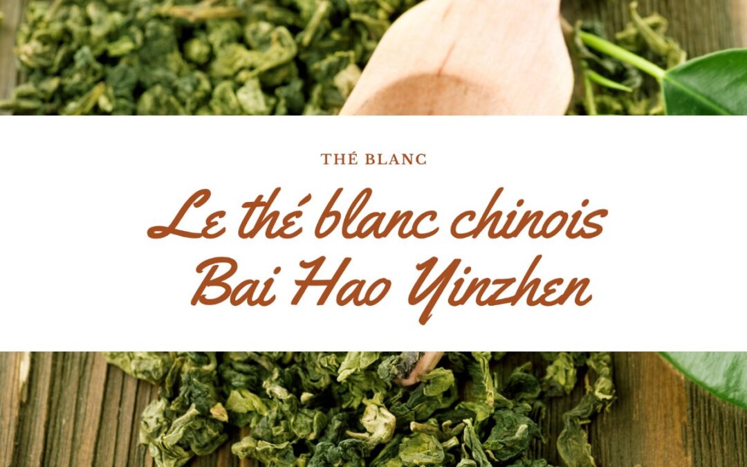 Bai Hao Yinzhen : Un thé blanc chinois
