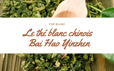 Bai Hao Yinzhen : Un thé blanc chinois