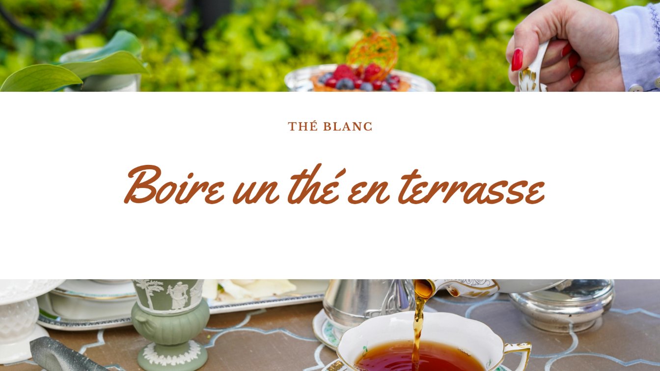 boire the terrasse