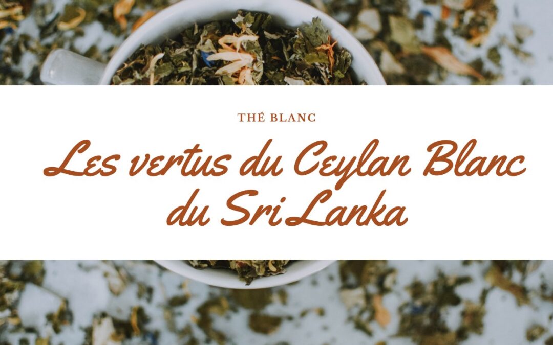 Découvrez les bienfaits du Ceylan Blanc du Sri Lanka