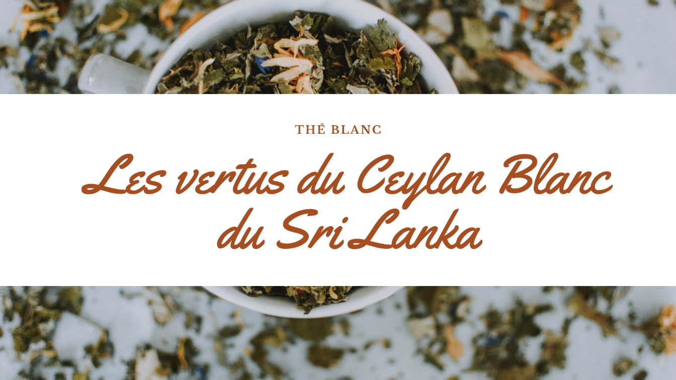 ceylan blanc sri lanka