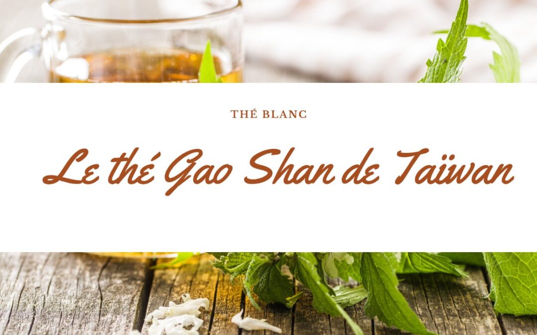 Découvrez la saveur unique du Gao Shan de Taïwan