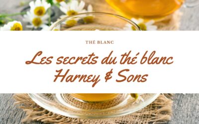 Les secrets de la culture du thé blanc : tout ce que vous devez savoir avec la marque Harney & Sons
