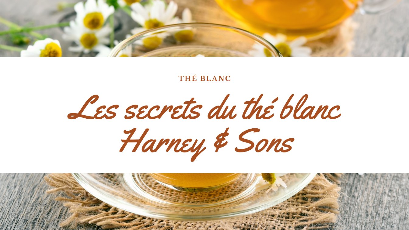 harney sons
