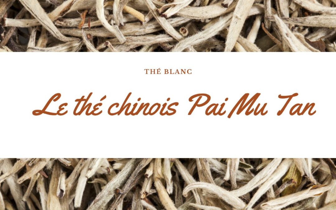 Pai Mu Tan : Un ancien thé blanc chinois