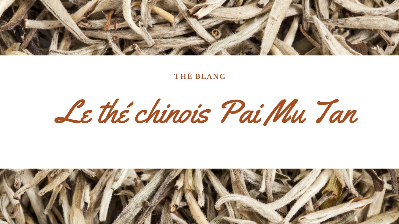 pai mu tan the blanc
