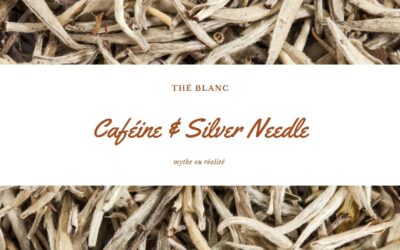 Caféine & Silver Needle : mythe ou réalité ?