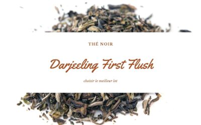 Darjeeling First Flush 2025 : choisir le meilleur lot