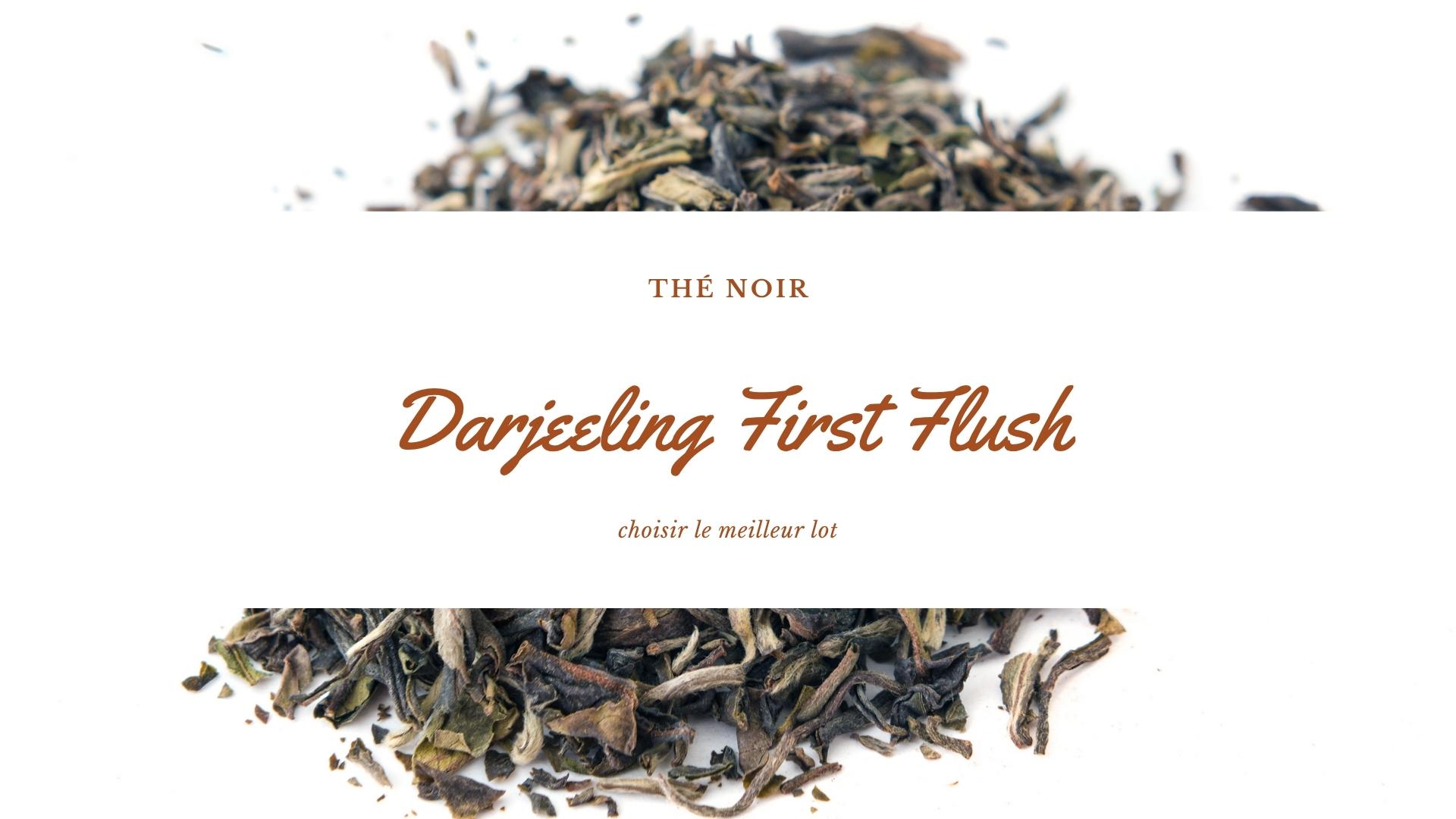 Darjeeling First Flush