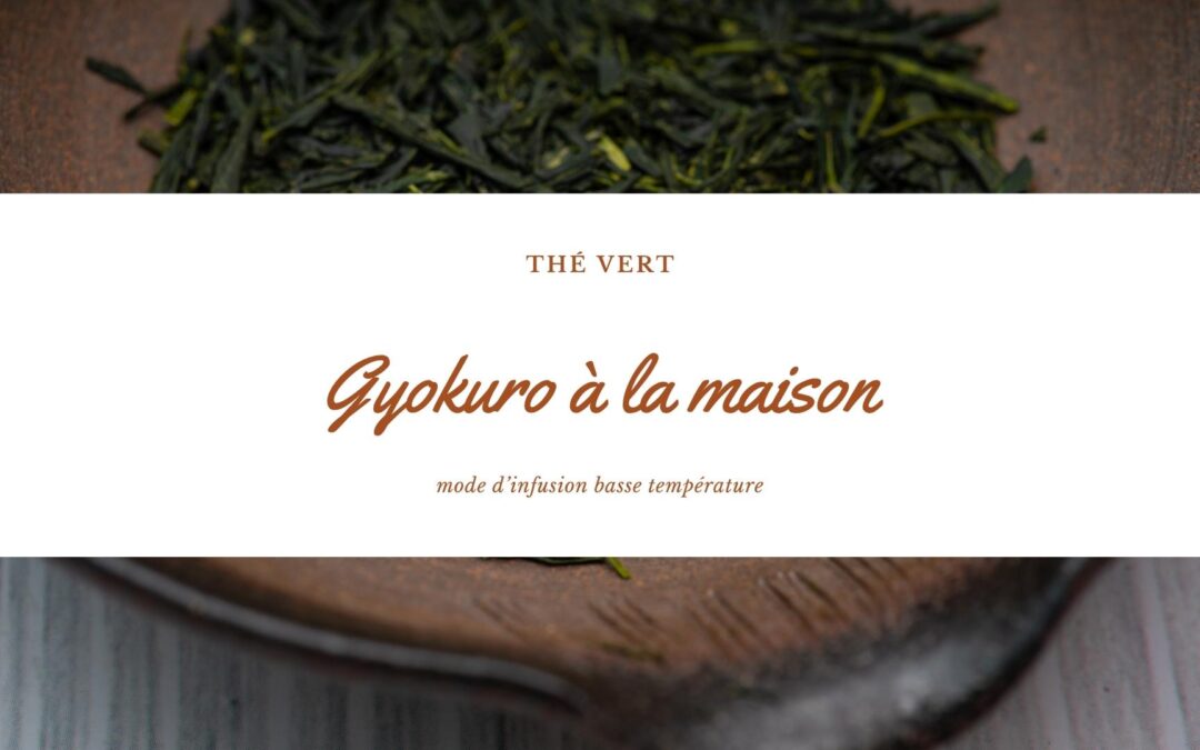 Gyokuro à la maison : mode d’infusion basse température