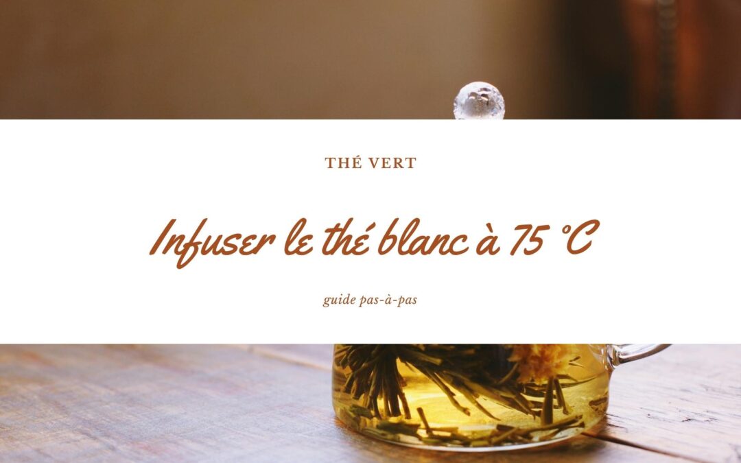 Infuser le thé blanc à 75 °C : guide pas-à-pas