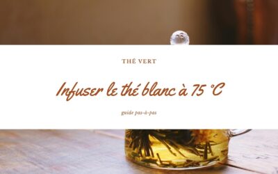 Infuser le thé blanc à 75 °C : guide pas-à-pas