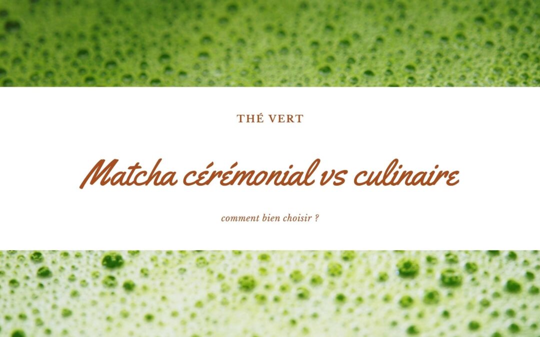 Matcha cérémonial vs culinaire : comment bien choisir ?